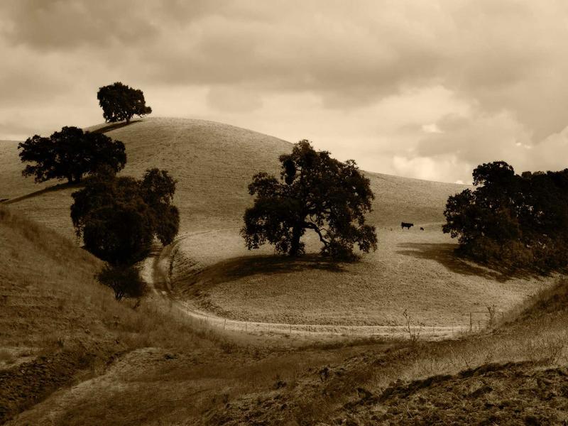 sudoku pattern learning screenshot 3