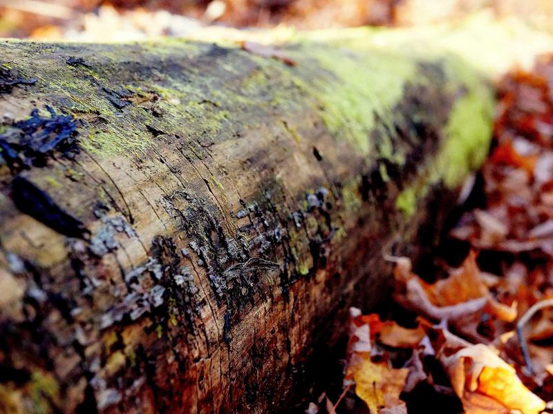 sudoku timer mode screenshot 6